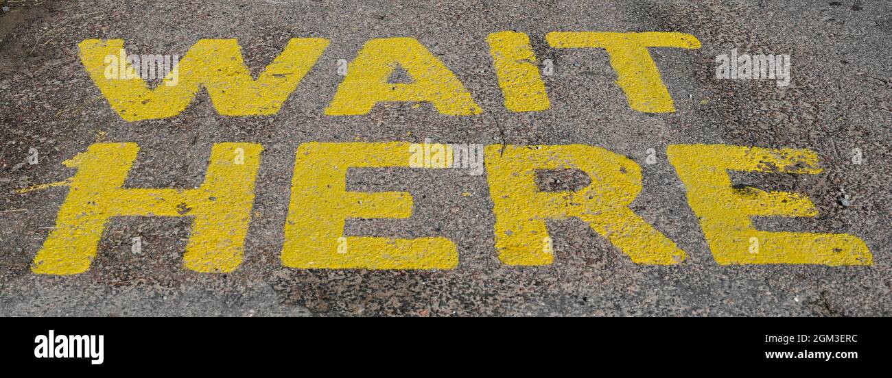 Wait here sign in yellow capital letters. Painted on tarmac. Isolated. Stock Photo
