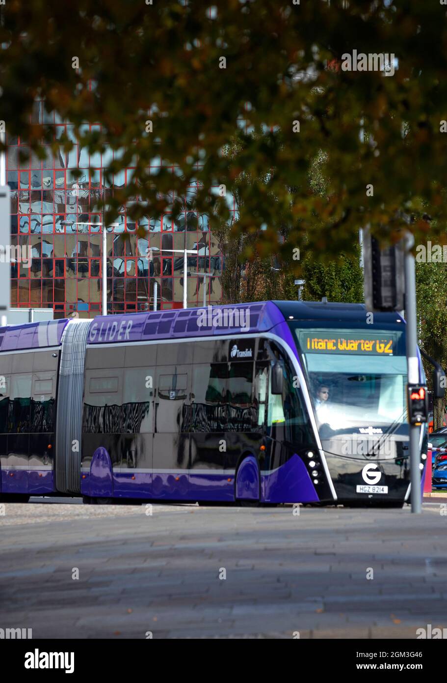 Belfast Glider Bus on the streets of Belfast, Northern Ireland Stock Photo Alamy