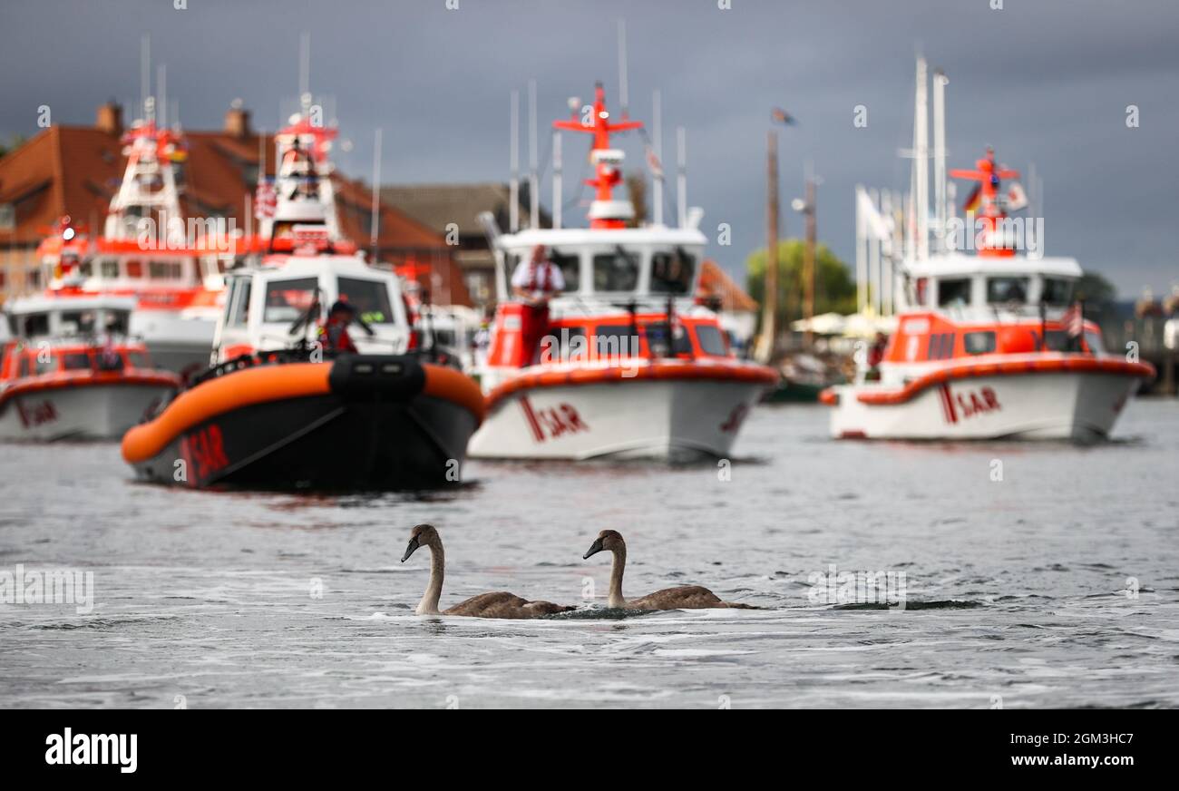 Neustadt In Holstein, Germany. 16th Sep, 2021. Two young swans cruise