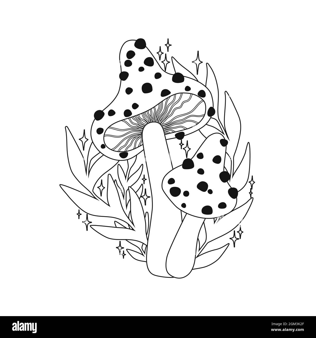 Mushrooms and leaves. Black and white vector outline iilustration. Coloring page. Amanita Stock Vector