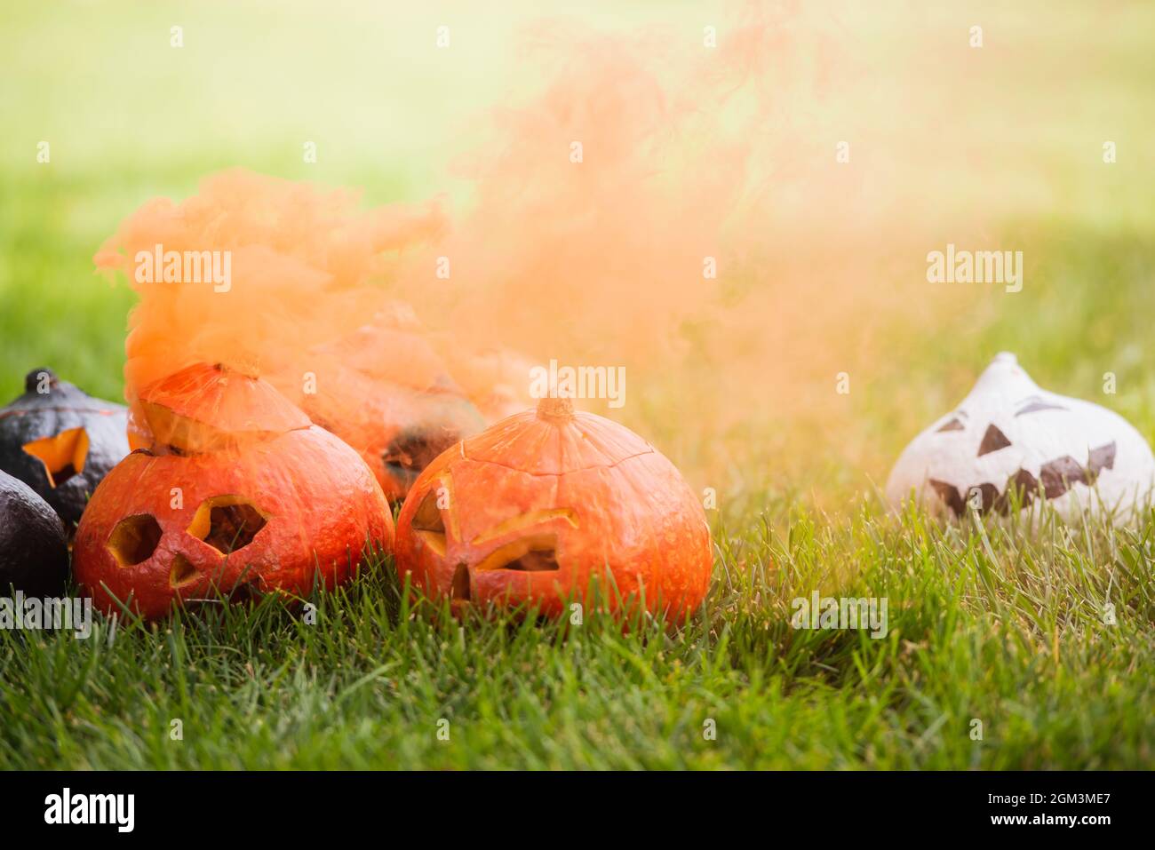 carved pumpkins with orange smoke grassy lawn Stock Photo - Alamy
