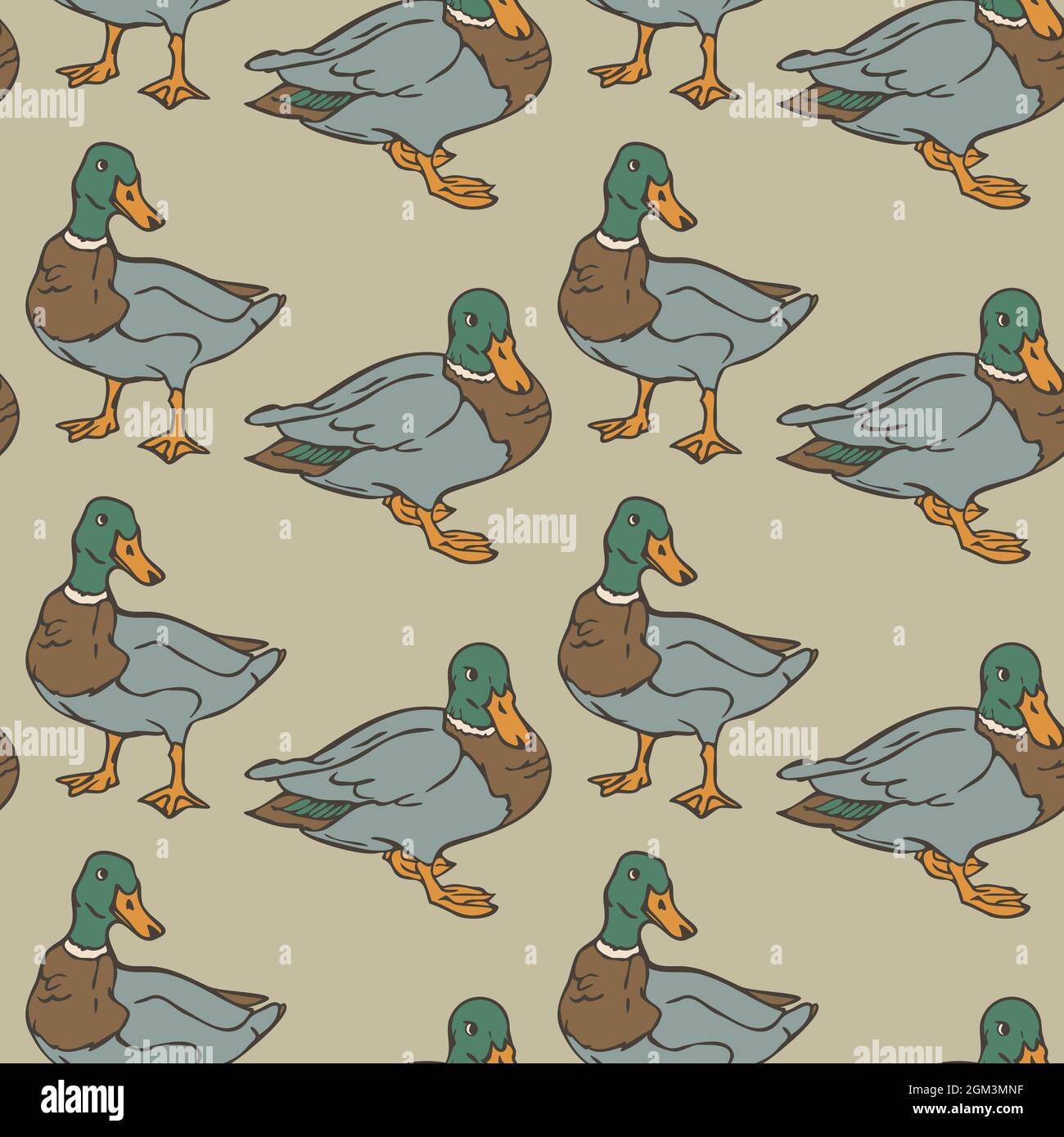 Vector seamless pattern with wild ducks. Design with ducks. Stock Vector