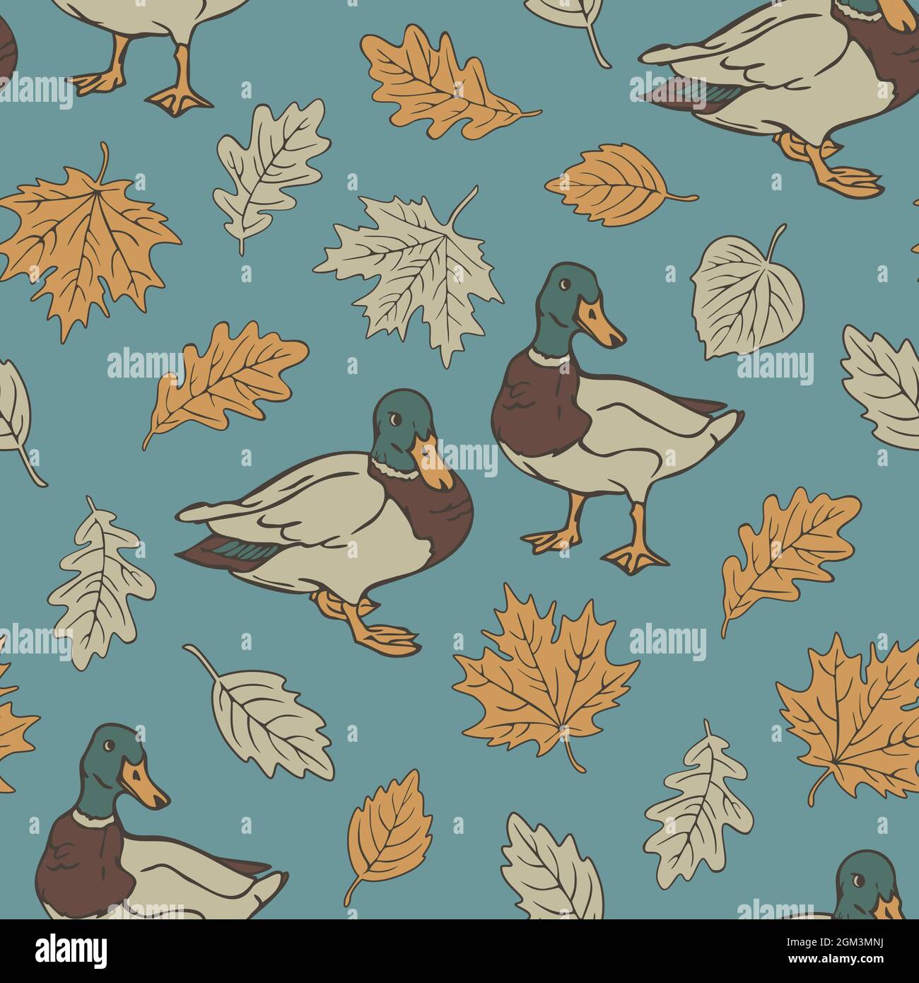 Vector seamless pattern with wild ducks and autumn leaves. Design with drakes and leaf fall on blue background. Stock Vector