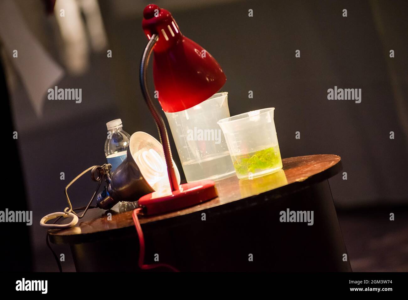 Science experiment materials including colorful green liquid filled cup. Stock Photo