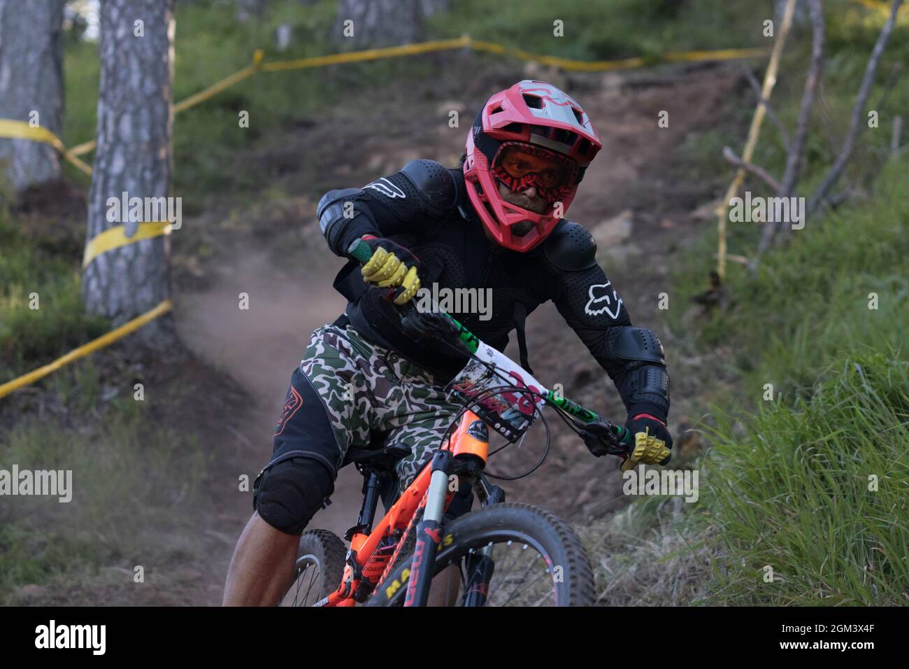 A downhill mountain biker descending in a forest with dust behind him Stock Photo