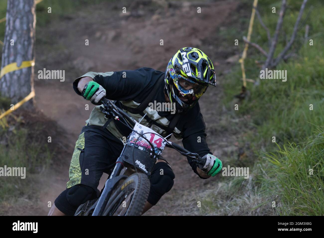 A closeup of a downhill mountain biker descending in woods with dust behind him Stock Photo