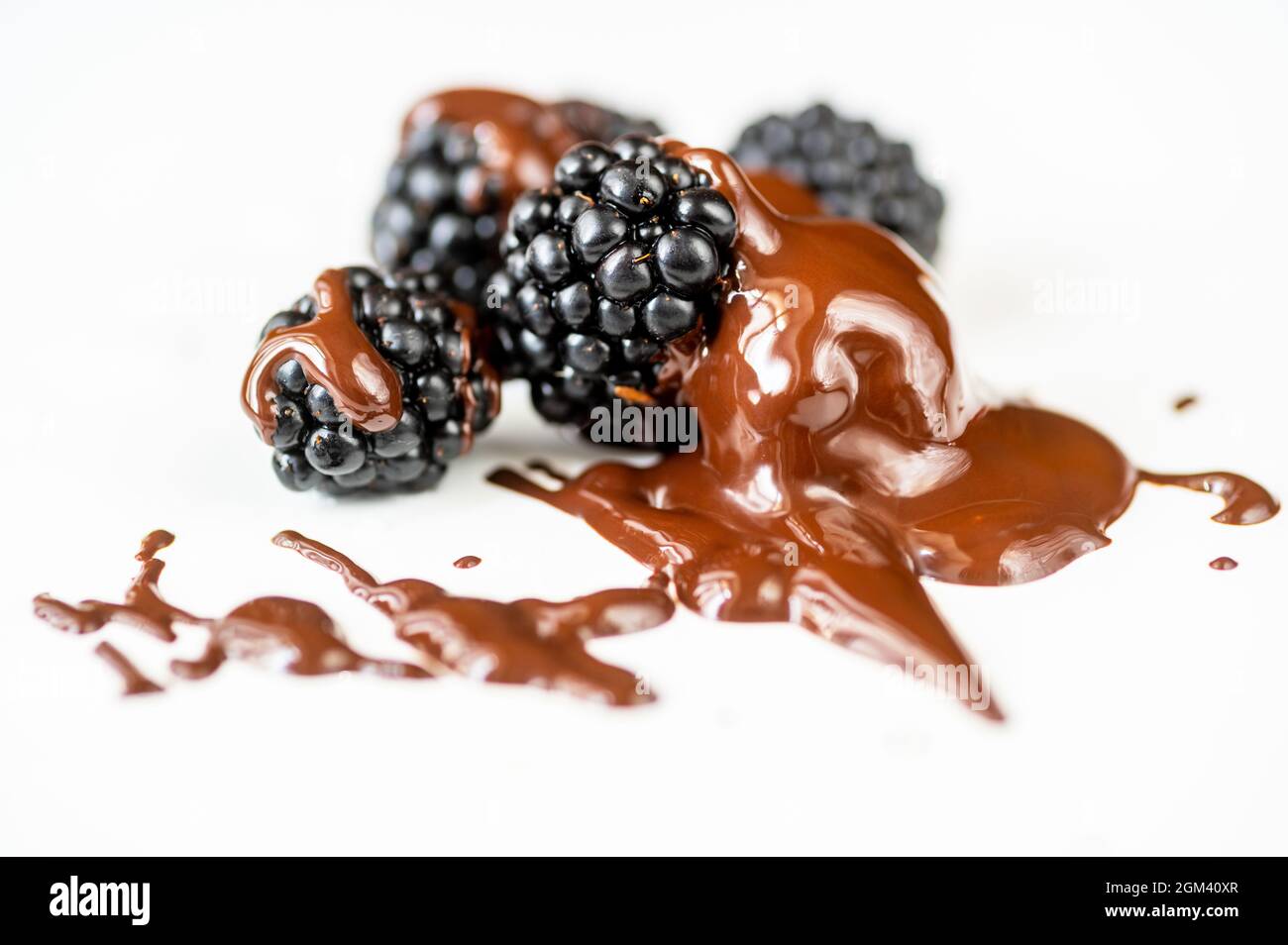 Blackberry with dissolved chocolate on white background, closeup. Stock Photo