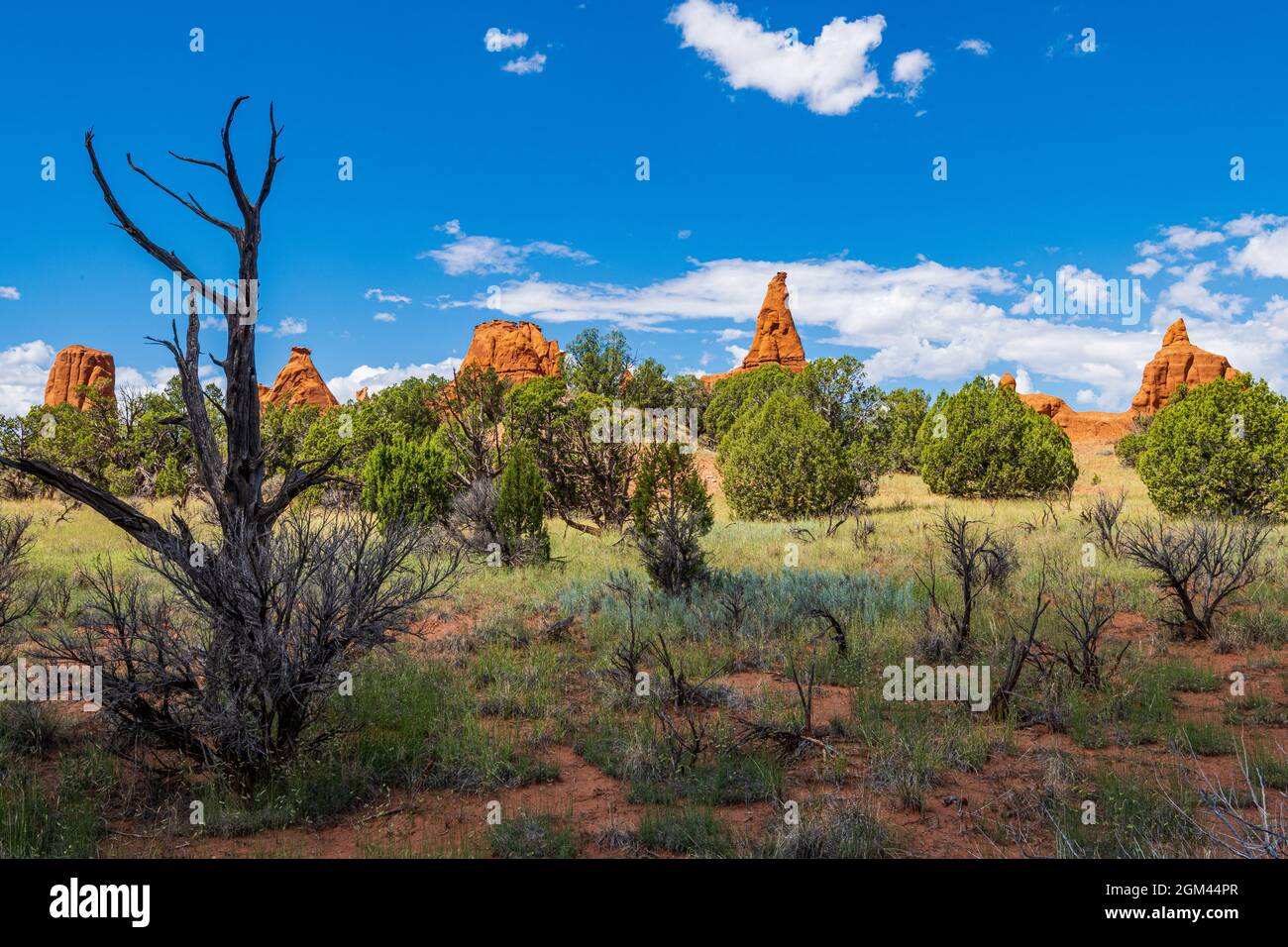 Spires From Rocks Monolithic spires hi-res stock photography and images - Alamy