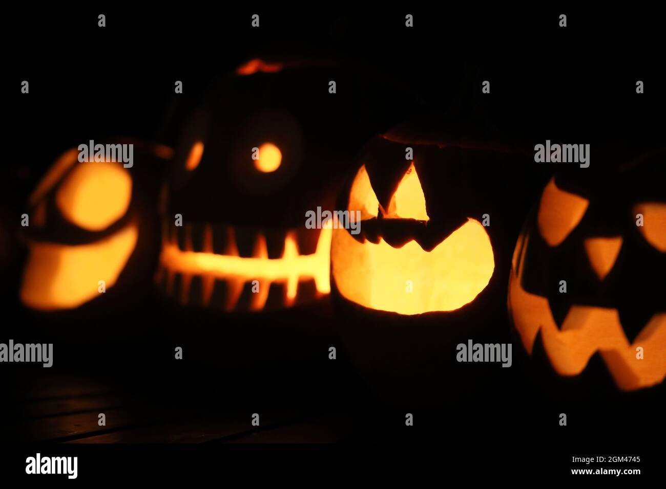 The danes have picked up the holloween tradition. Here a row of halloween jack-o'-lanterns carved out of pumpkins. Randbøldal, Denmark 2020 Stock Photo