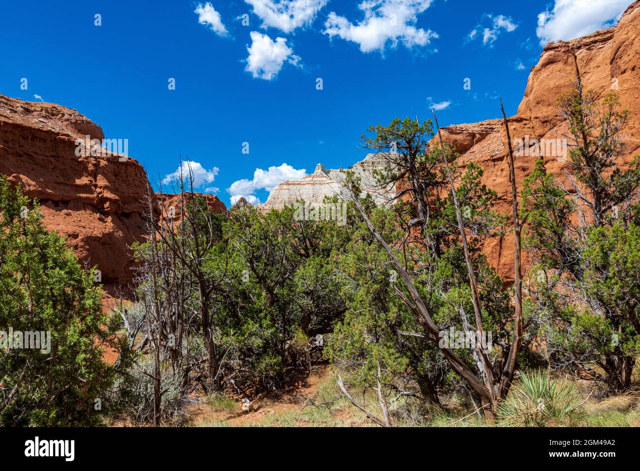 Spires From Rocks Towering monolithic spires or chimneys jut up from the valley floor or ...