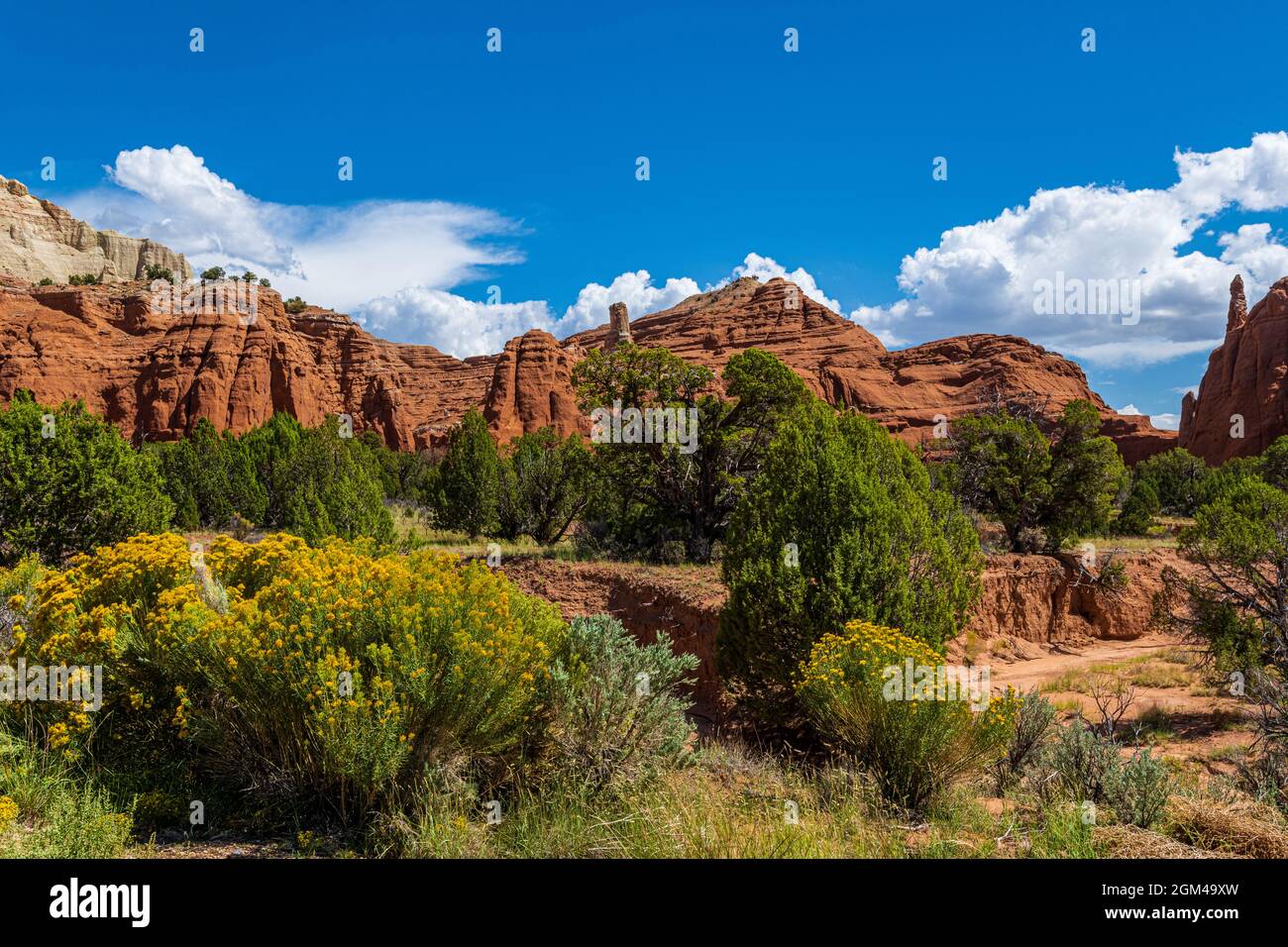 Towering monolithic spires or chimneys jut up from the valley floor or protrude from the sandstone rocks that surround Kodachrome Basin and inspire an Stock Photo