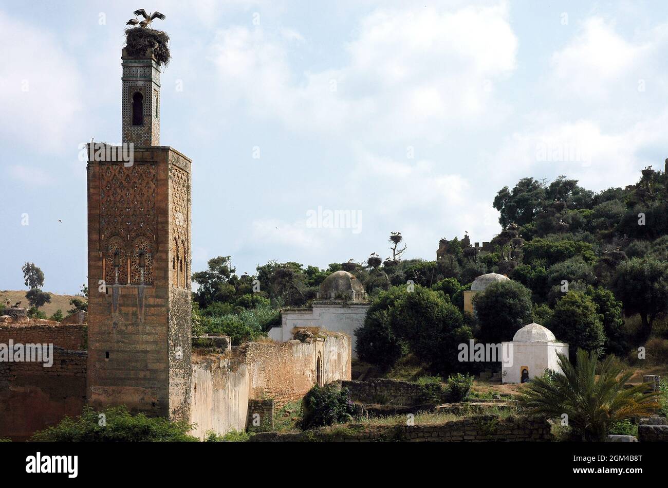 Kasbah Chellah in Rabat in Morocco Stock Photo - Alamy