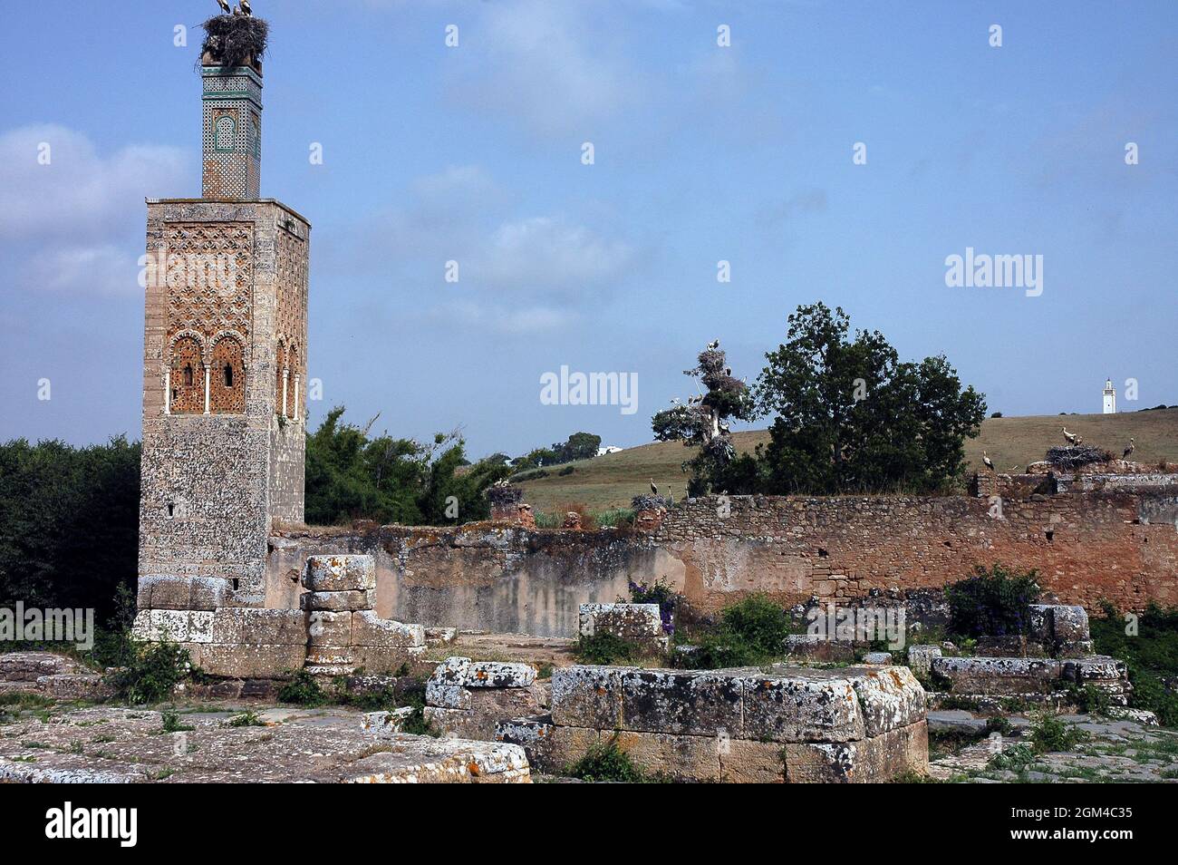 Kasbah Chellah in Rabat in Morocco Stock Photo - Alamy