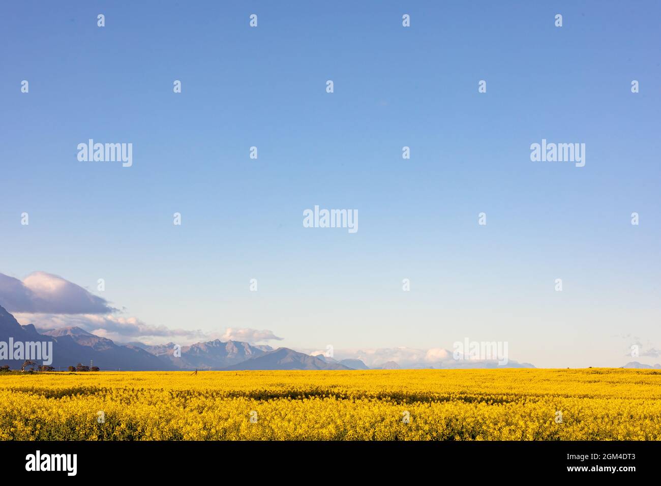 General view of countryside landscape with cloudless sky Stock Photo