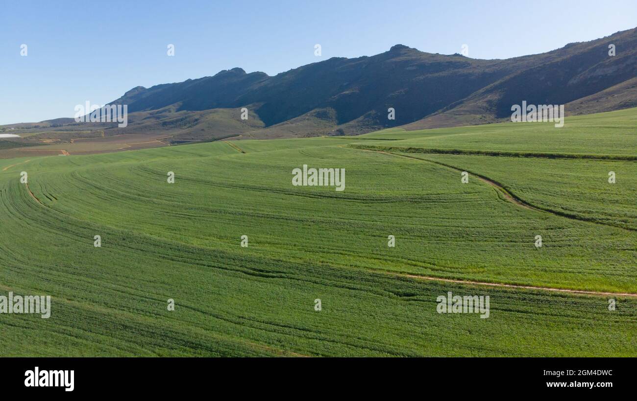 General view of countryside landscape with cloudless sky Stock Photo