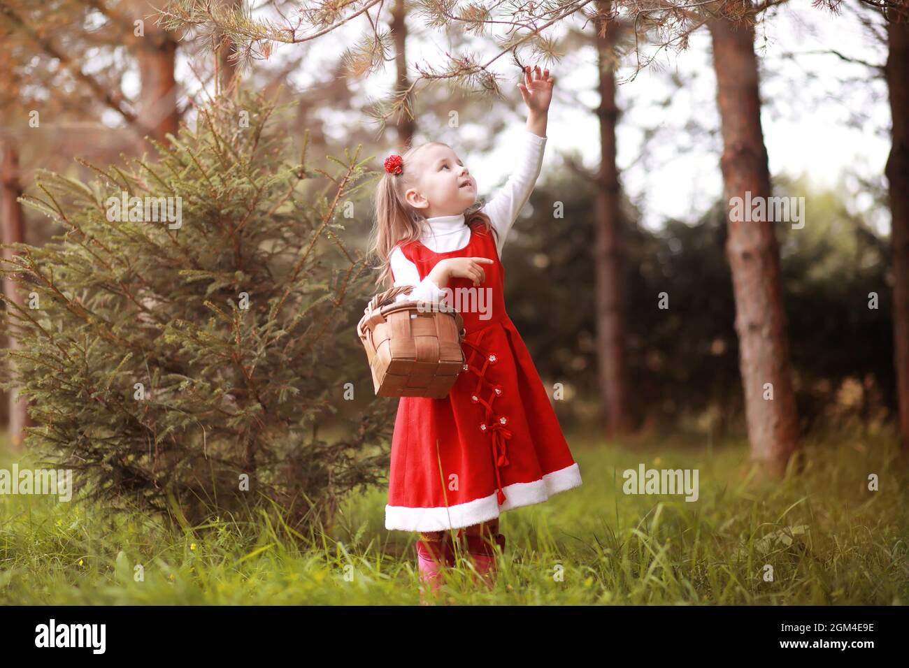 A little girl in a red hat and dresses is walking in the park. Cosplay ...