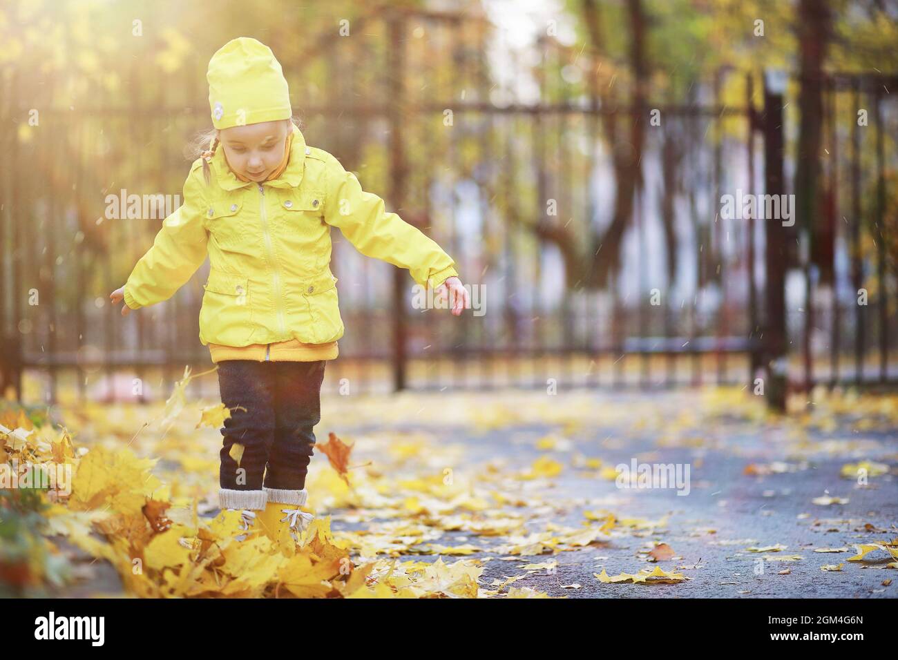 Children walk in the autumn park in the fall Stock Photo - Alamy