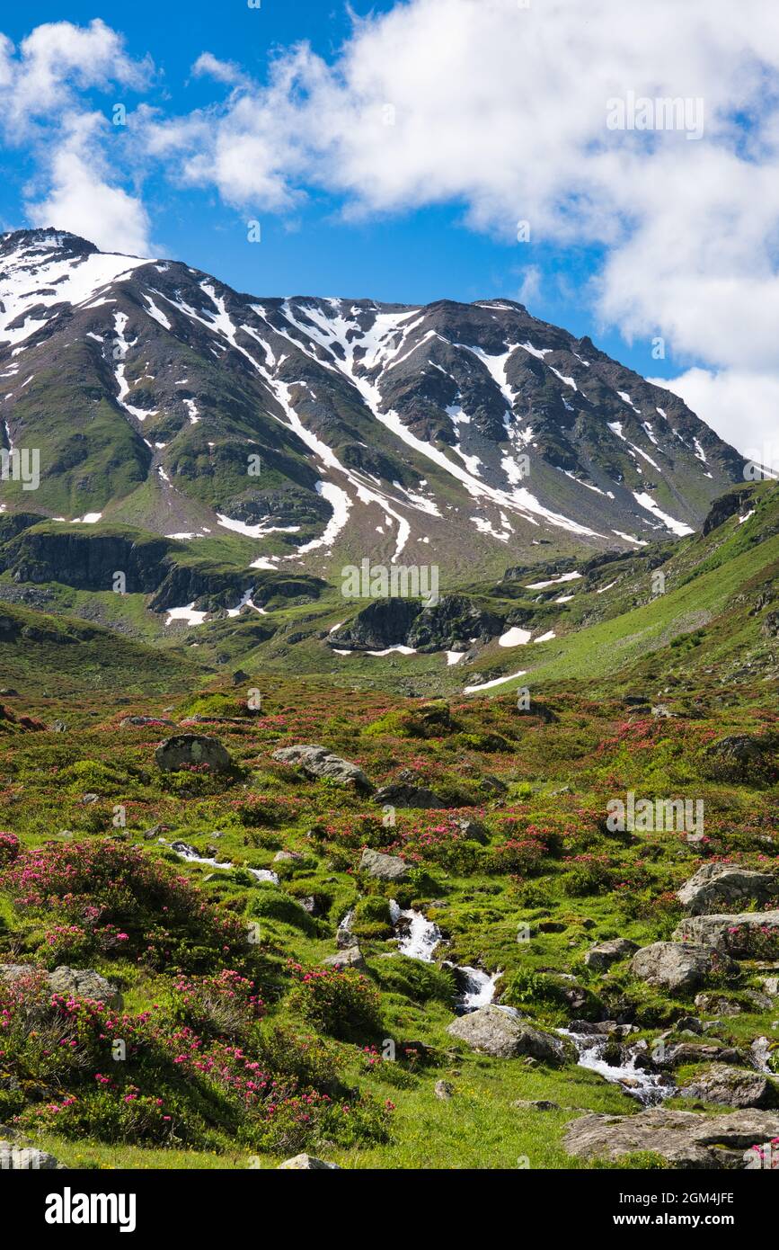 mountain-river-in-the-swiss-alps-at-davos-duerrboden-flows-down-with