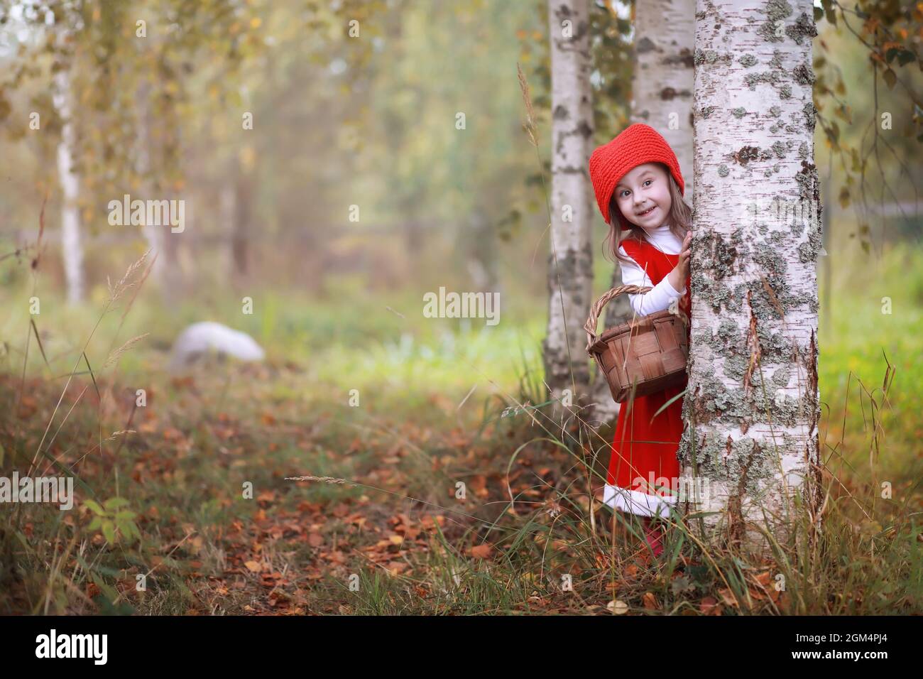 A little girl in a red hat and dresses is walking in the park. Cosplay ...