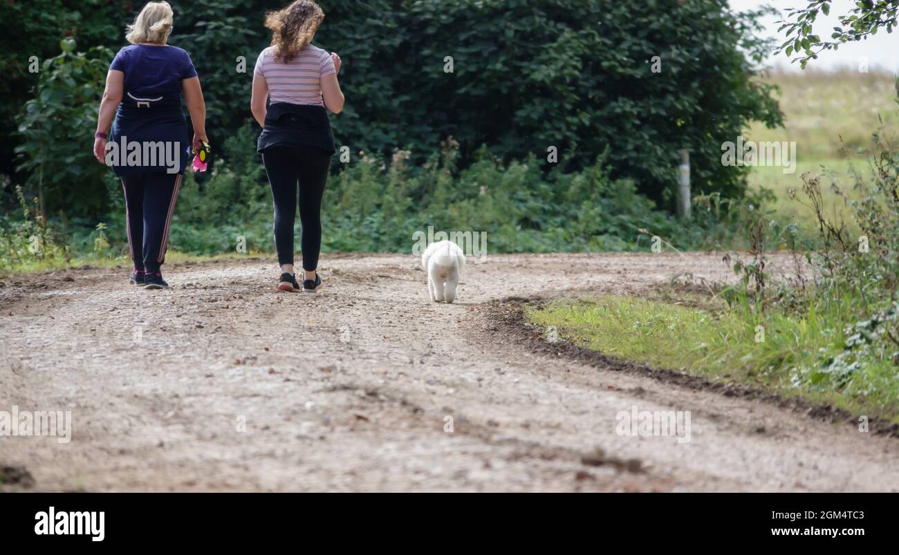 Mother and daughter walking the family pet dog, a white Bichon Frise (Canis lupus familiaris) on a stone track Wiltshire UK Stock Photo