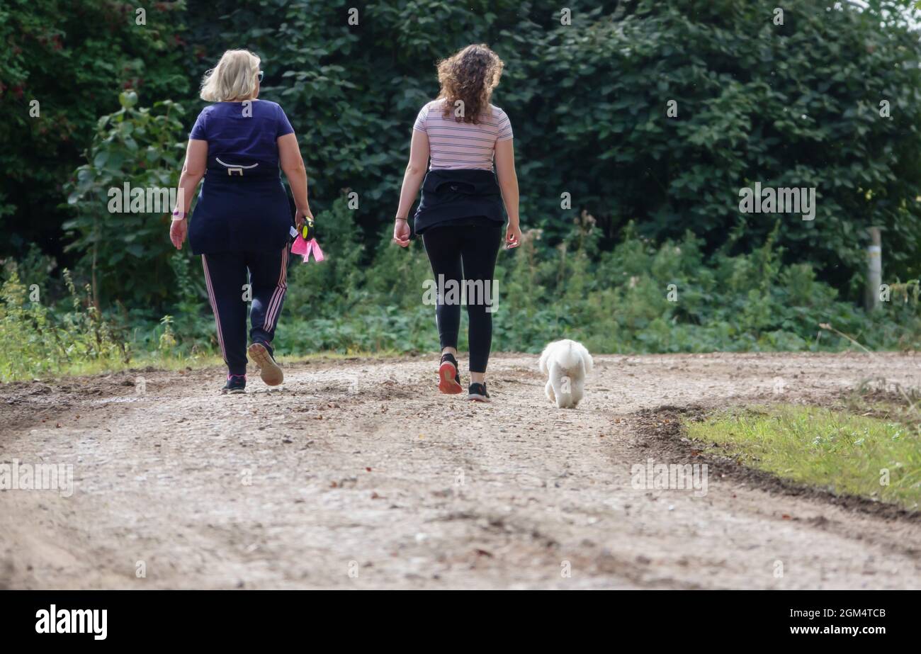 Mother and daughter walking the family pet dog, a white Bichon Frise (Canis lupus familiaris) on a stone track Wiltshire UK Stock Photo