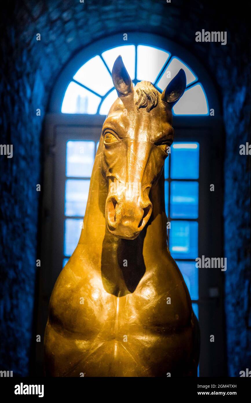 Elegant golden horse head statue with a cool blue background in London UK Stock Photo Alamy