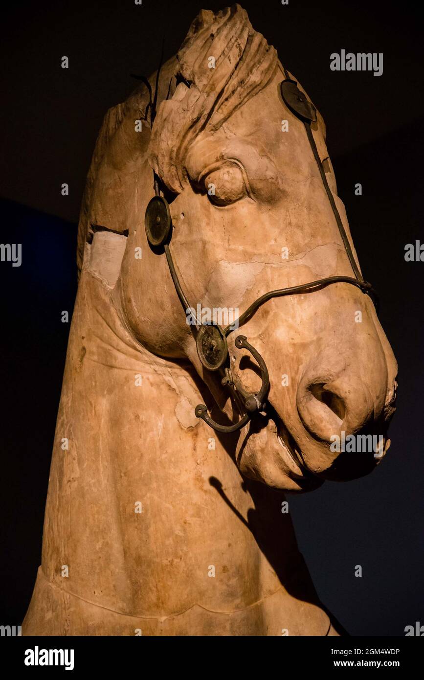 Horse head statue in the British Museum Stock Photo