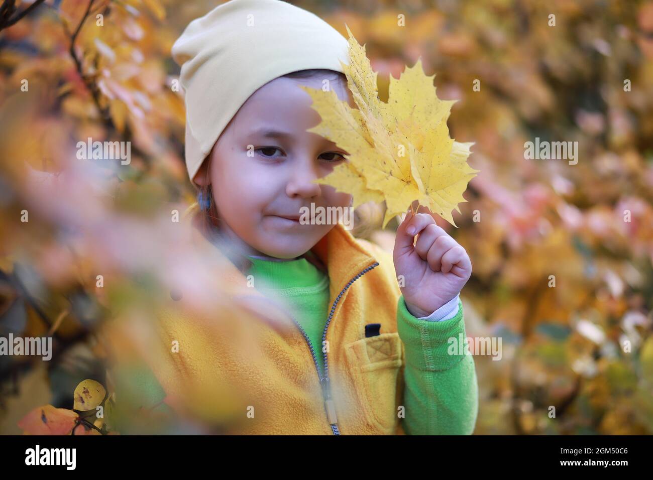 Children walk in the autumn park in the fall Stock Photo - Alamy