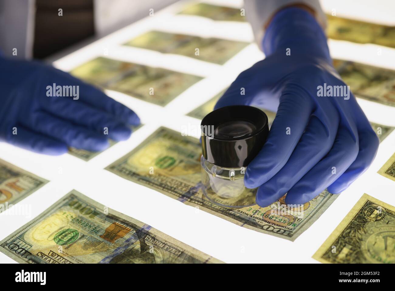 Man in rubber gloves verifying authenticity of american dollar bills closeup Stock Photo