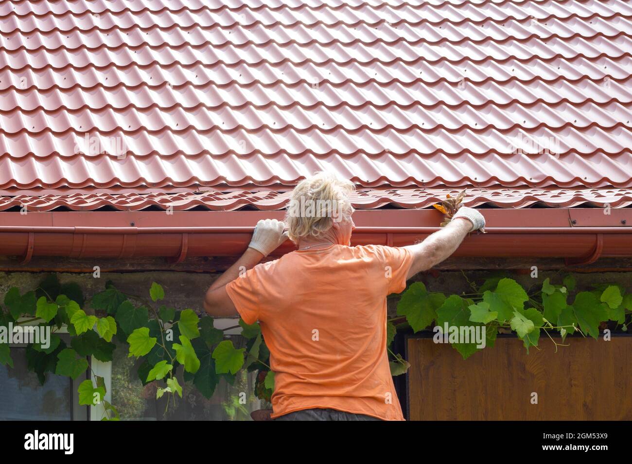 A man cleans out debris and leaves from the gutter system on the roof ...