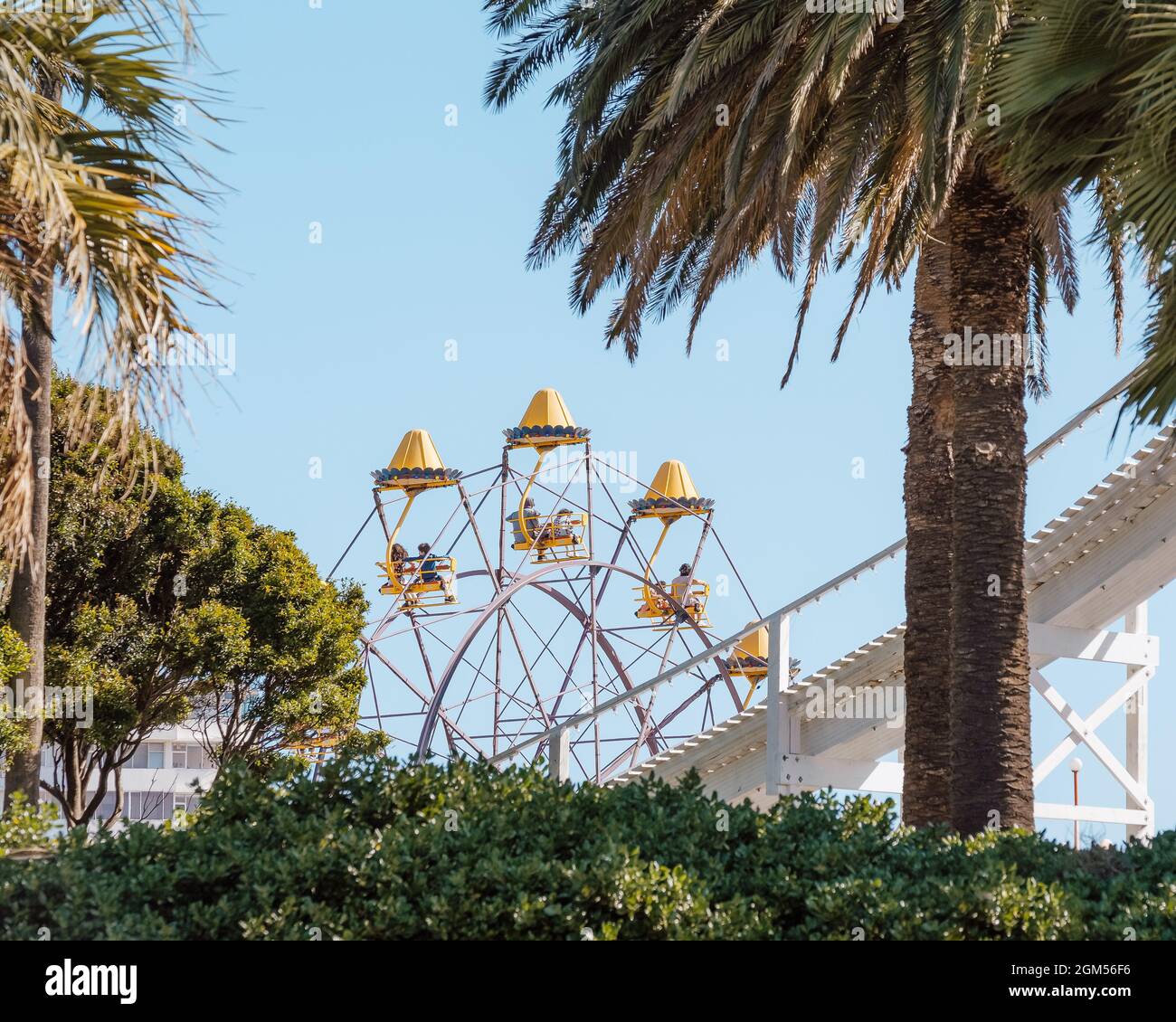 Ferris wheel in tropical park hi-res stock photography and images - Alamy