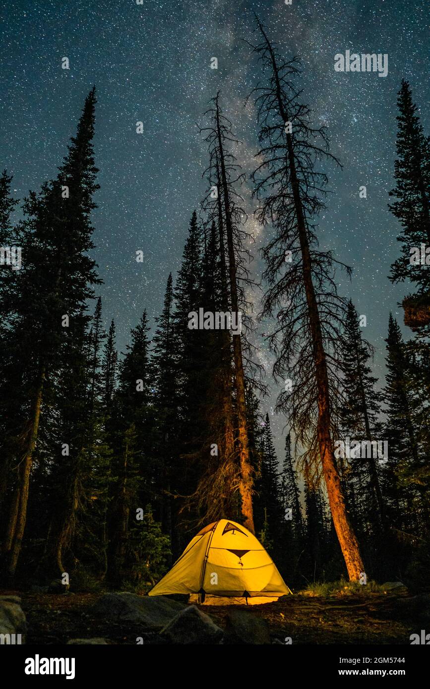 A green tent and campfire under a bright full moon and starry night sky,  surrounded by trees and mountains. on Craiyon, image size:867x1390