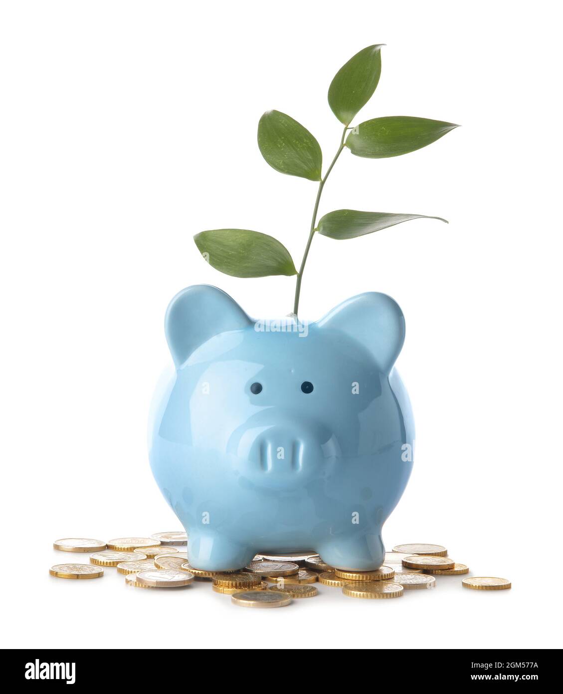 Piggy bank with coins and green leaves on white background Stock Photo ...