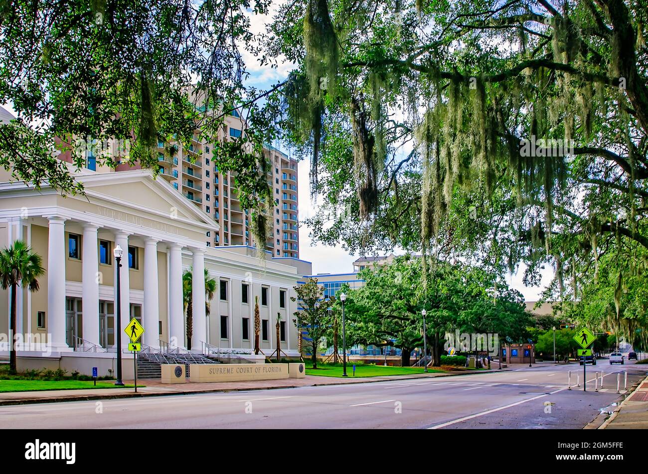 The Florida Supreme Court is pictured, July 20, 2013, in Tallahassee, Florida. Stock Photo