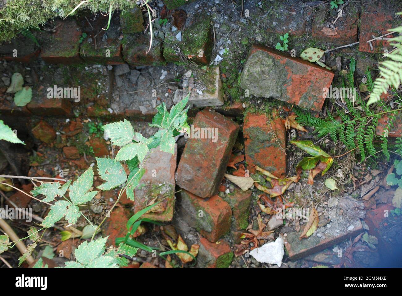 Old Robe Trail Train Old robe trail hi-res stock photography and images - Alamy