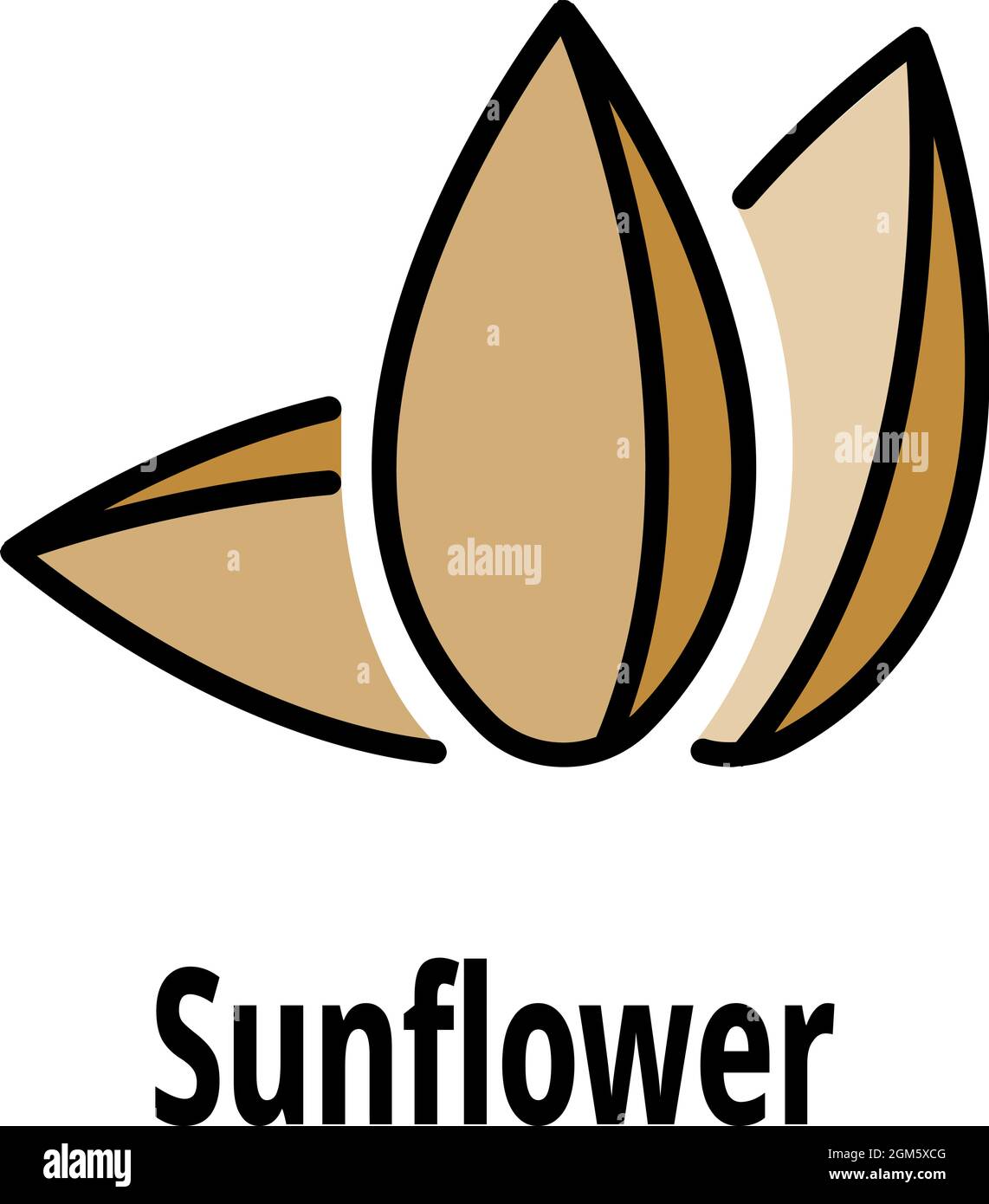 Sunflower seed icon. Outline sunflower seed vector icon color flat ...