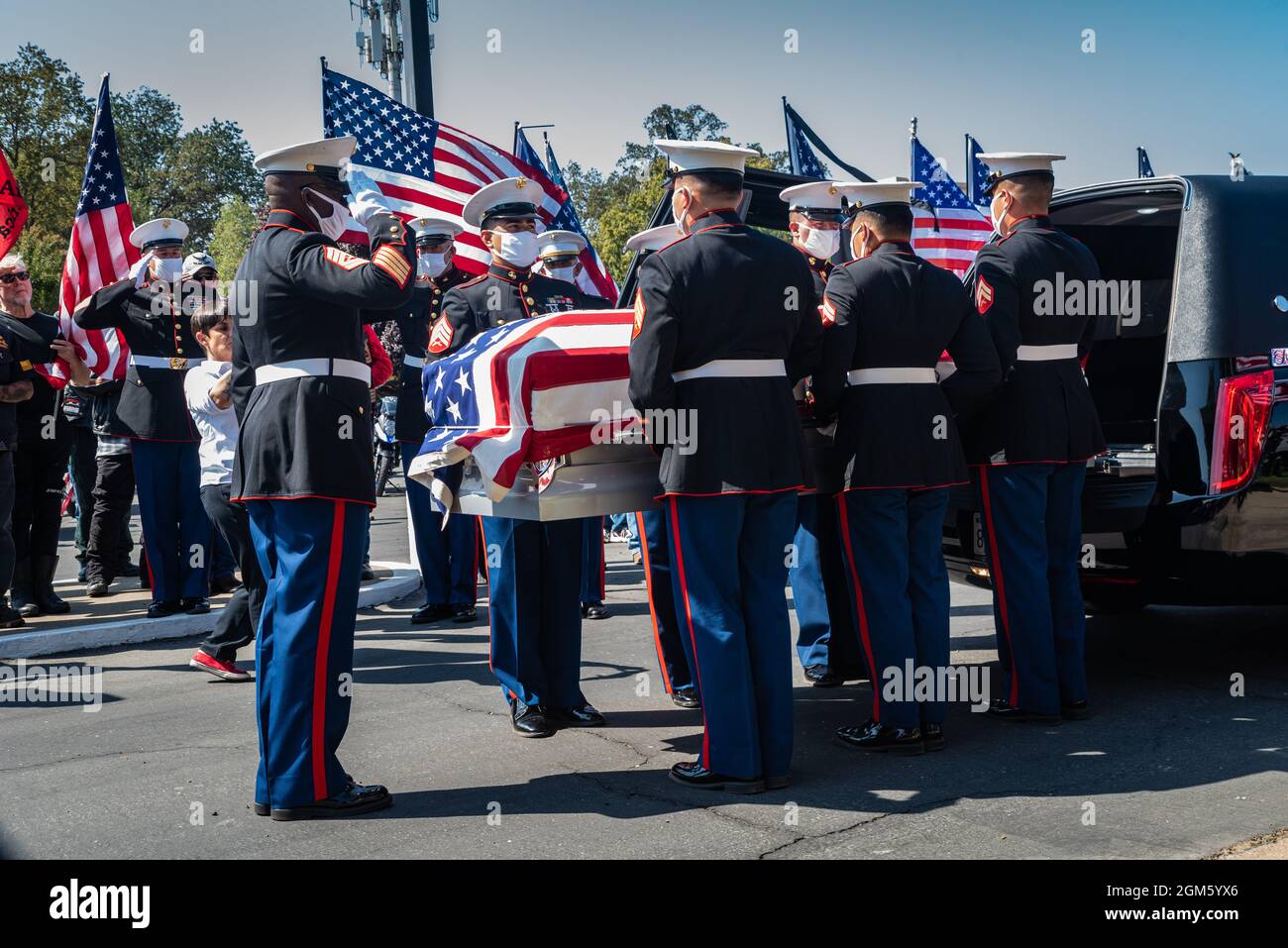 The lead Marine pallbearer salutes as fallen Sgt. Nicole Gee's coffin is held after being removed from its hearse at Mt. Vernon Cemetery. Stock Photo