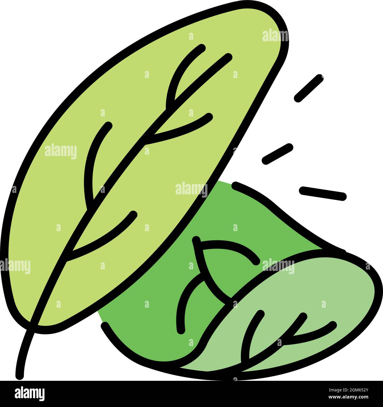 Spinach leaf icon. Outline spinach leaf vector icon color flat isolated on white Stock Vector
