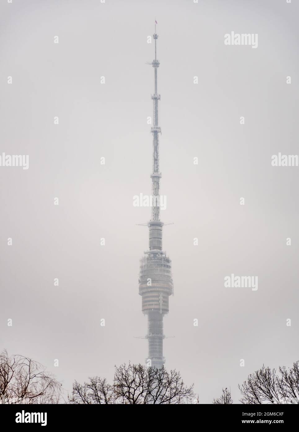 Ostankino television tower in the fog through winter tree branches ...