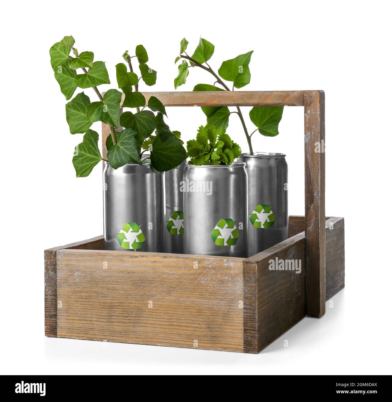 Plants growing in recycle tin cans hires stock photography and images