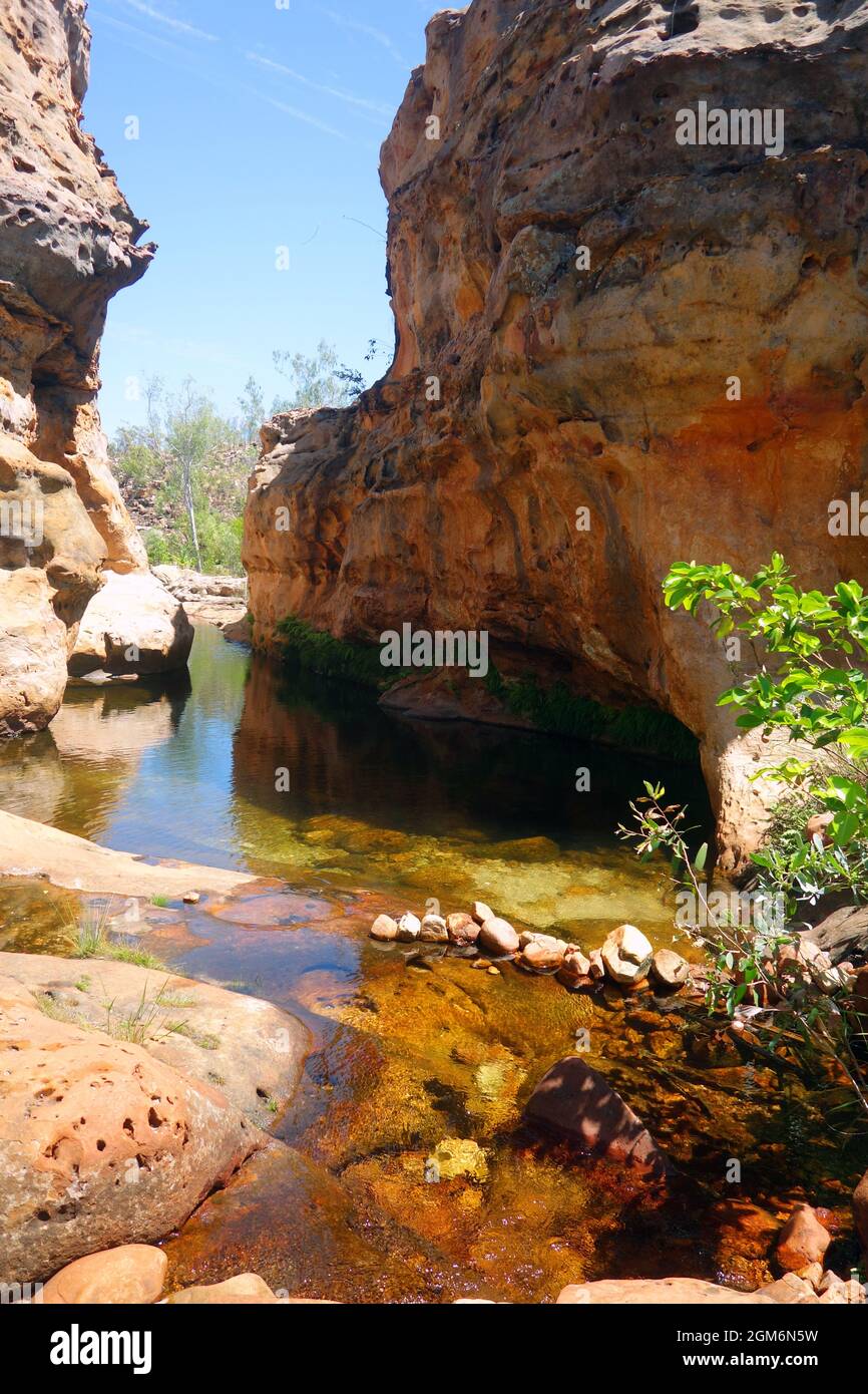 Natural thermal spring, Nanny's Retreat, Lorella Springs Station, east Arnhemland, Northern Territory, Australia Stock Photo
