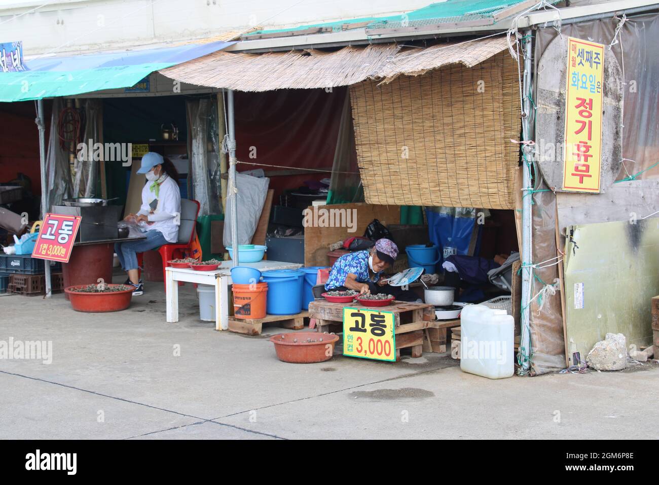 Elderly woman selling shellfish in Oido Marine Park market, in Oido, Korea Stock Photo