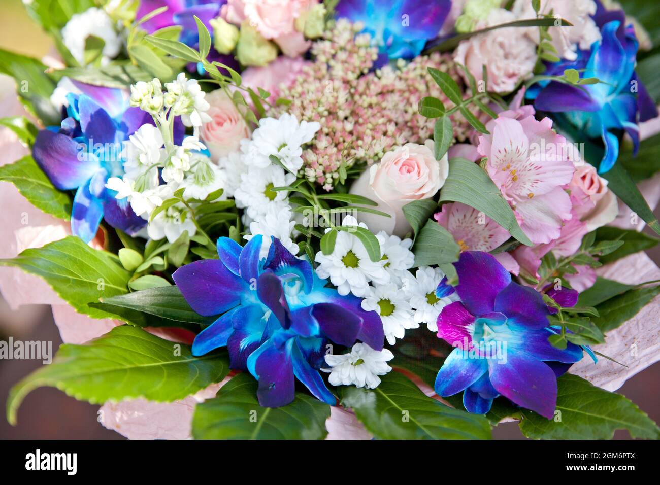 Bouquet of different flowers with blue orchids. Bright flowers Stock