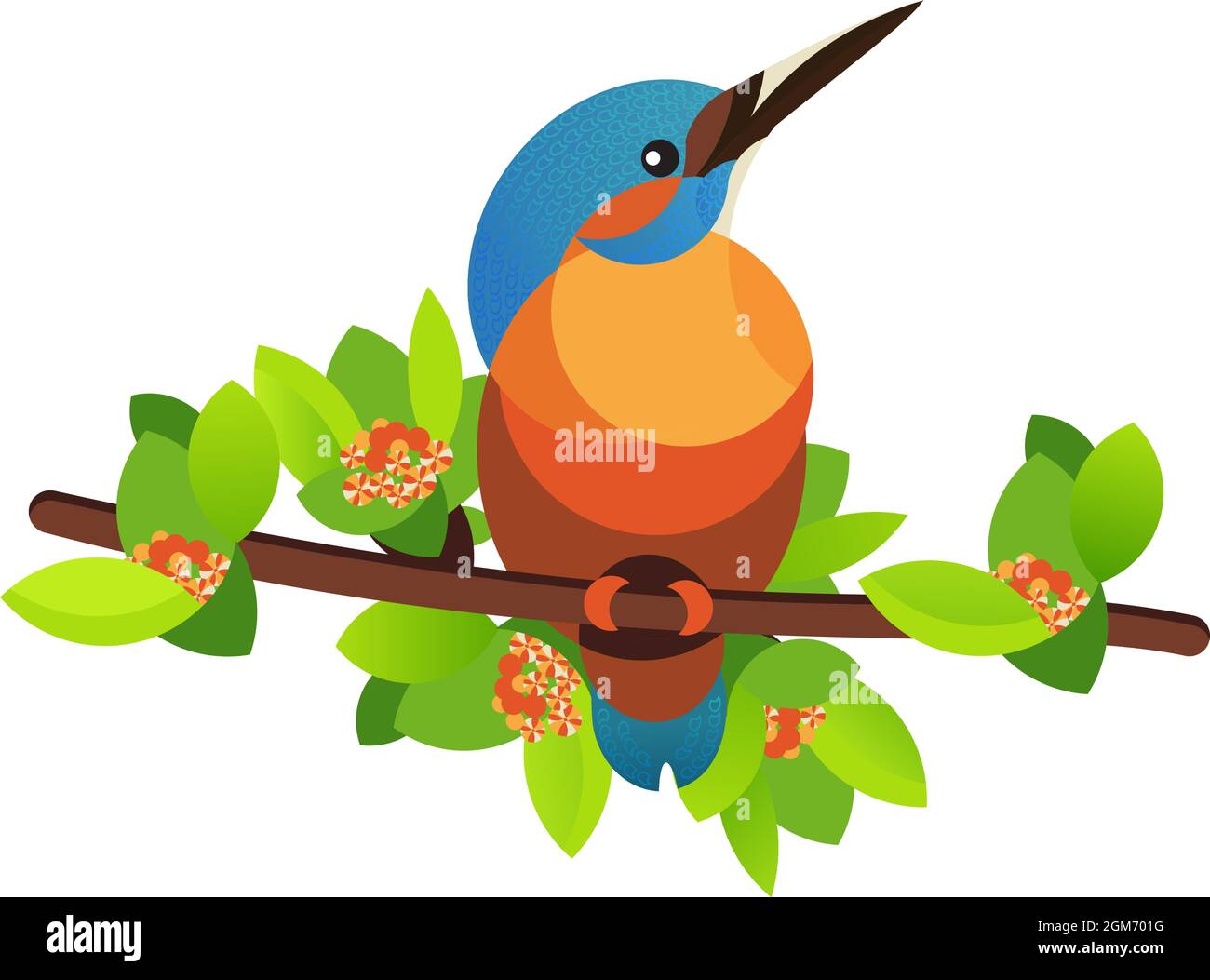 Bird kingfisher on a branch. Vector illustration. Stock Vector