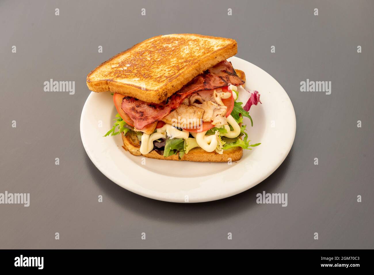 Grilled buttered sliced bread sandwich with roast chicken, fried bacon