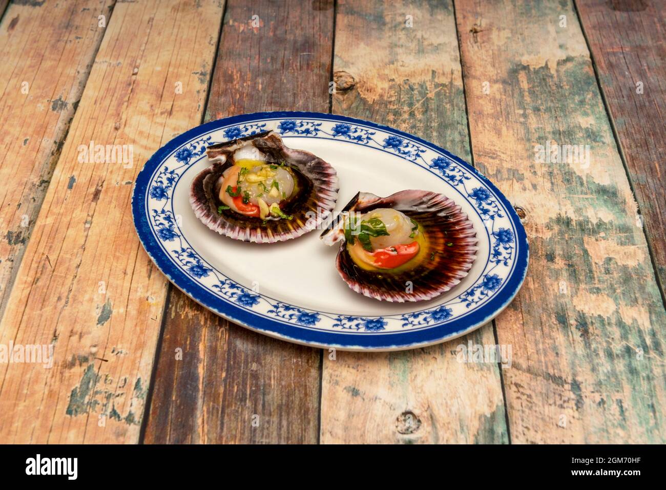 Dish decorated in blue tones with two wonderful Galician-style scallops with their cochas and Spanish olive oil Stock Photo