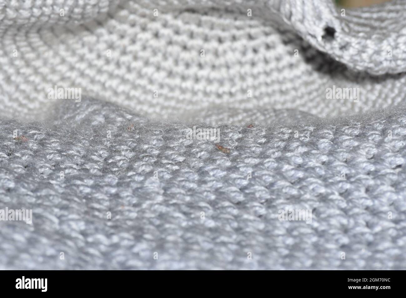 gray wool texture with selective focus macro shot Stock Photo