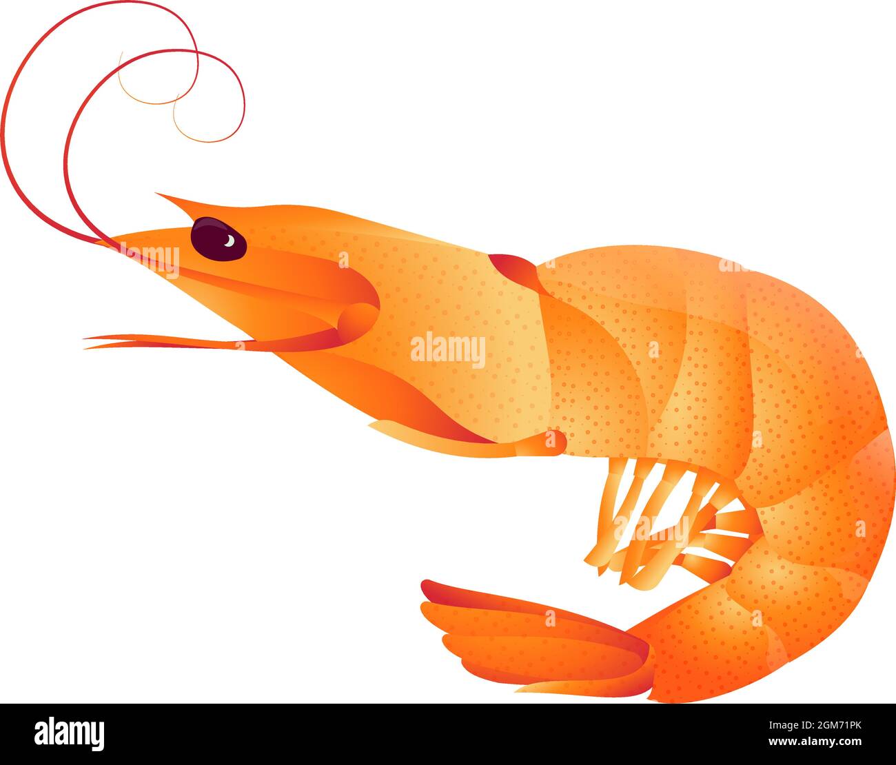Shrimp on a white background. Seafood. Vector flat illustration. Stock Vector
