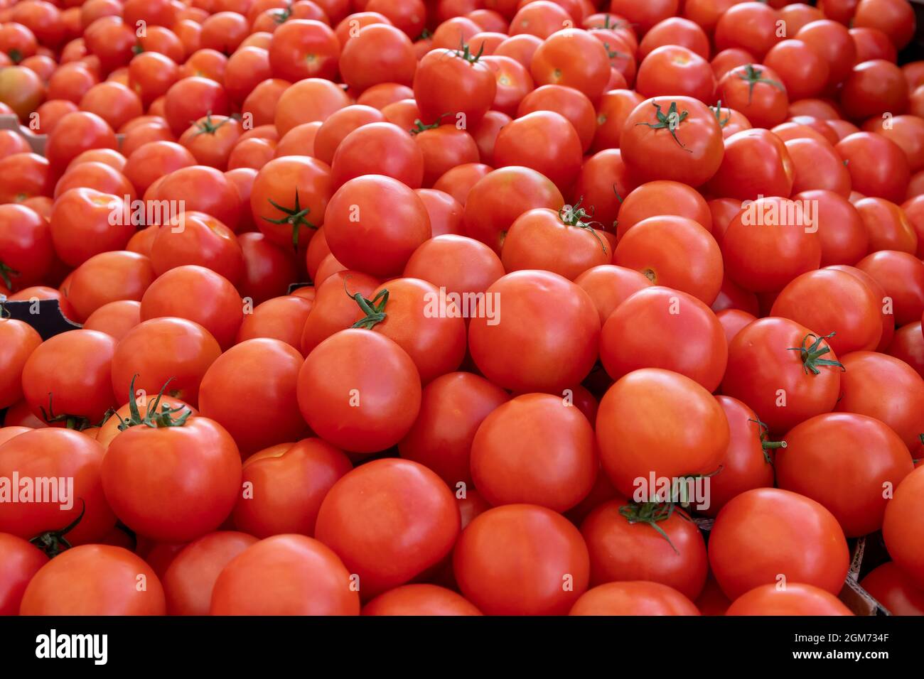 Large pile of fresh, organic tomatoes on a market stall in Southall, Middlesex Stock Photo