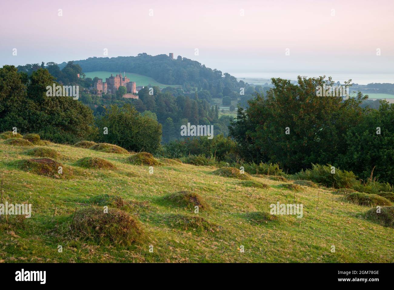 Anthills from the Yellow meadow ant (lasius flavus) at Dunster Park with Dunster Castle beyond, Somerset, England. Stock Photo
